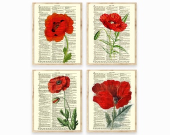 Vintage Red Poppy Illustrations Printed On 125+ Year Old Antique Dictionary Pages, 4 set, Botanical Cottagecore Aesthetic, Farmhouse Prints