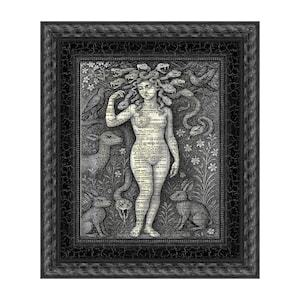 May include: Black framed art print featuring a Medusa illustration. The artwork depicts a nude woman with snakes for hair, surrounded by animals and flowers. The image is a black and white print with text overlay.