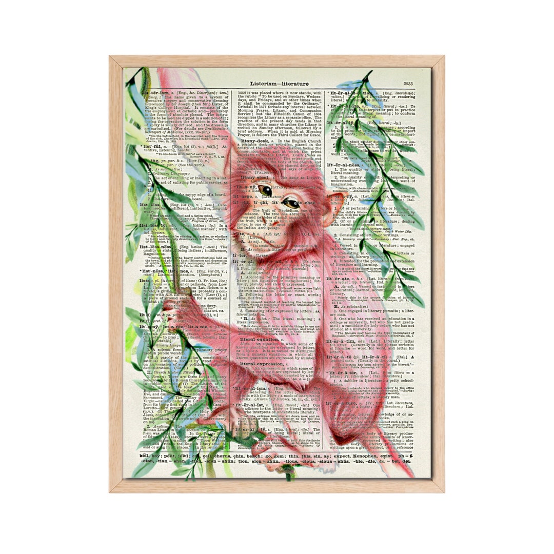 Pink Monkey Wall Art Printed on A 125 Year Old Dictionary Page, Dorm