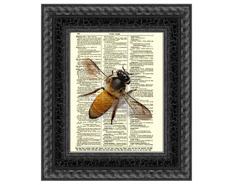 Bee Art Printed On A 125+ Year Old Dictionary Page, Bee Illustration, Cottagecore Aesthetic, Unramed Art