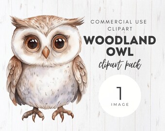 Woodland Owl Watercolor Clipart, Single Image, Nursery, Clip art, Neutral Baby Shower, Commercial Use, Instant Download, PNG