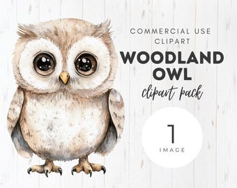 Woodland Owl Watercolor Clipart, Single Image, Nursery, Clip art, Neutral Baby Shower, Commercial Use, Instant Download, PNG