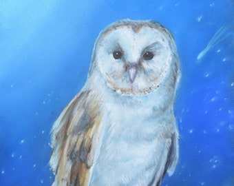 Barn Owl in soft pastels, wall art, framed picture, pastel picture