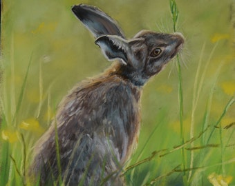 Hare in the Meadow, soft pastel, A4 print