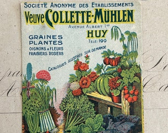 Antique Belgian Advertisement for the Sale of Vegetables and Flowers by the Veuve (Widow) Collette-Mühlen