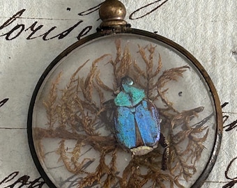 Very Rare, Antique Beetle and Flora Specimens Pendant, from France