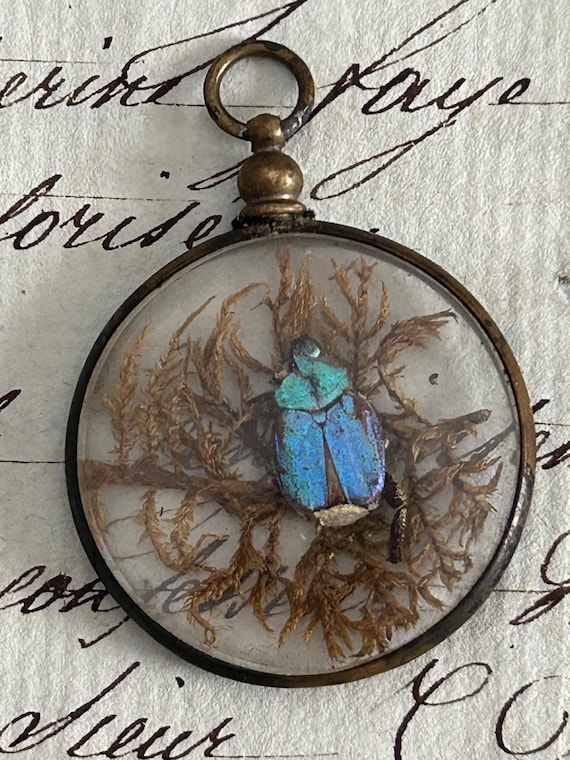Very Rare, Antique Beetle and Flora Specimens Pendant, from France
