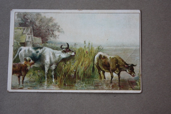 S.B. Thing and Co.'s Antique, Victorian Trade Card for Fall and Winter of 1894 and 1895