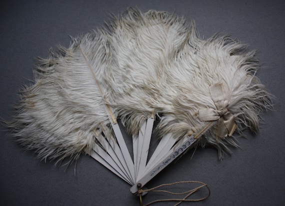 Antique Ostrich Feather and Celluloid Fan