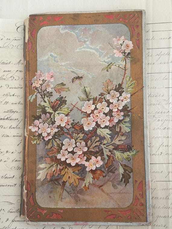 Eustache by Louis Friedel, Translated from German to French by Christophe Schmid, Published by Alfred Mame et Fils (Sons)