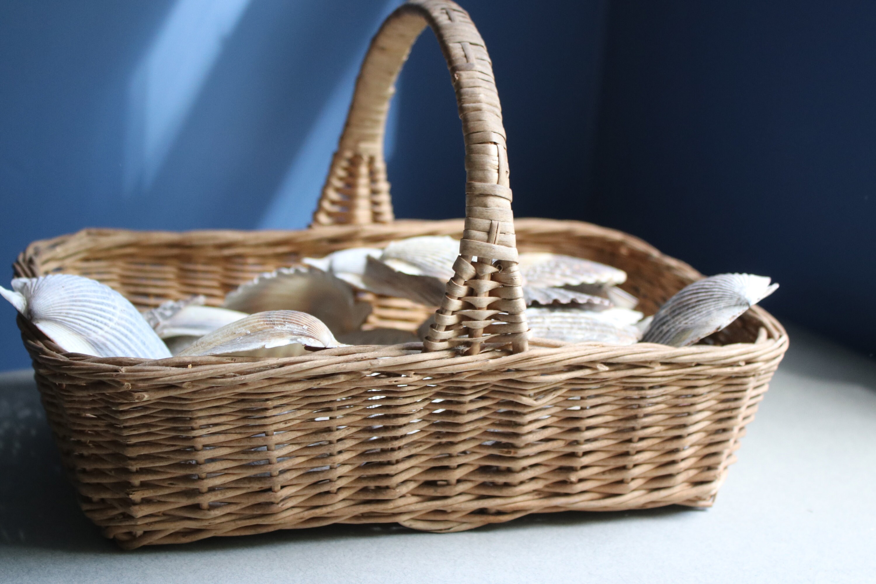 Basket of Seashells