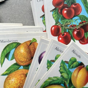 Volumetrix, Vintage, French, Fruit Picture Cards