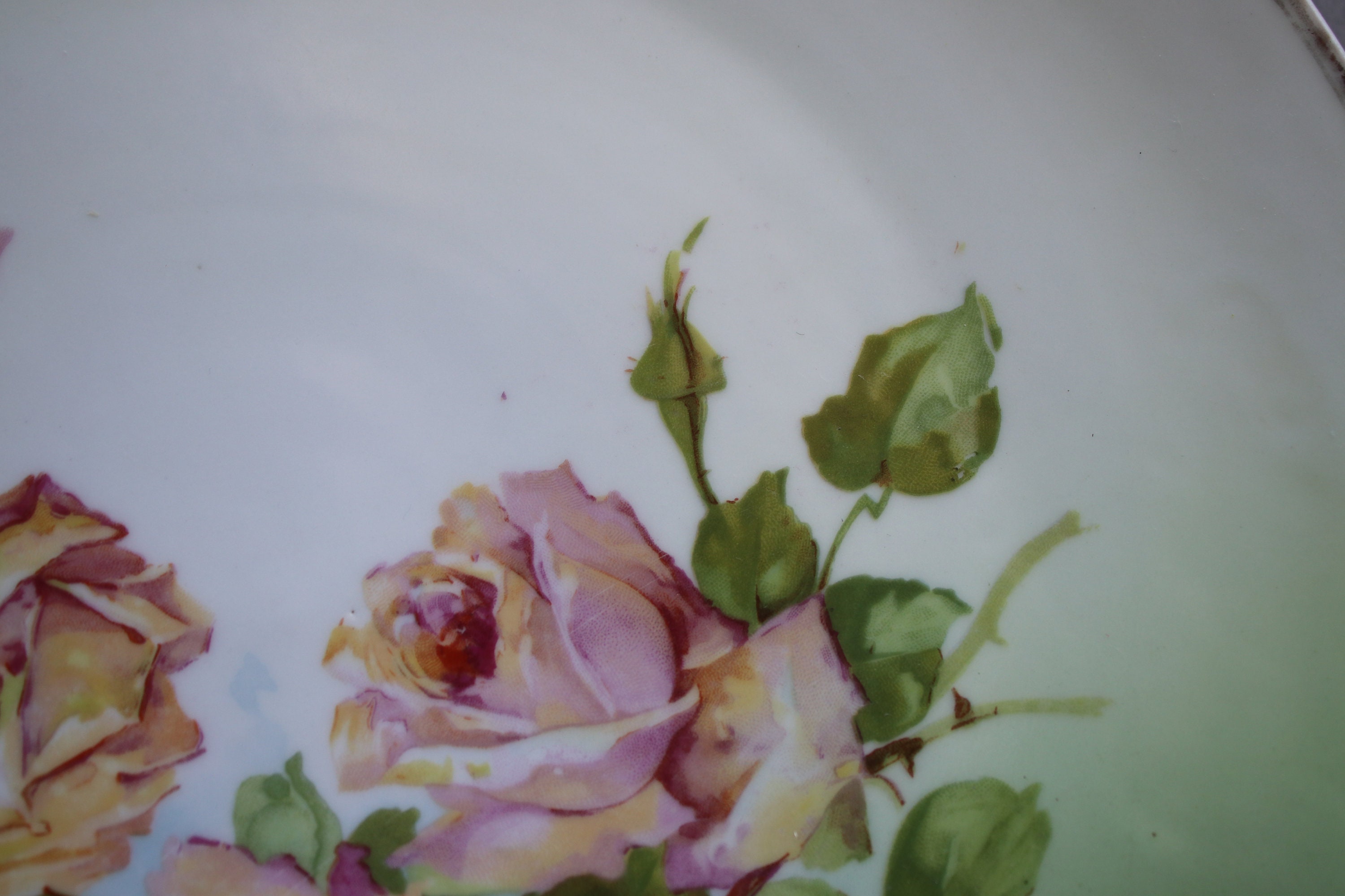 Antique, Porcelain, Three Crown German Plate with Roses