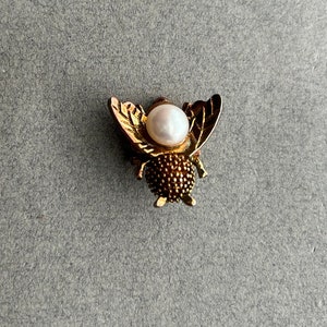 Fly Brooch, from France