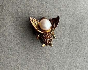 Fly Brooch, from France