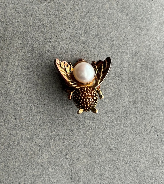 Fly Brooch, from France