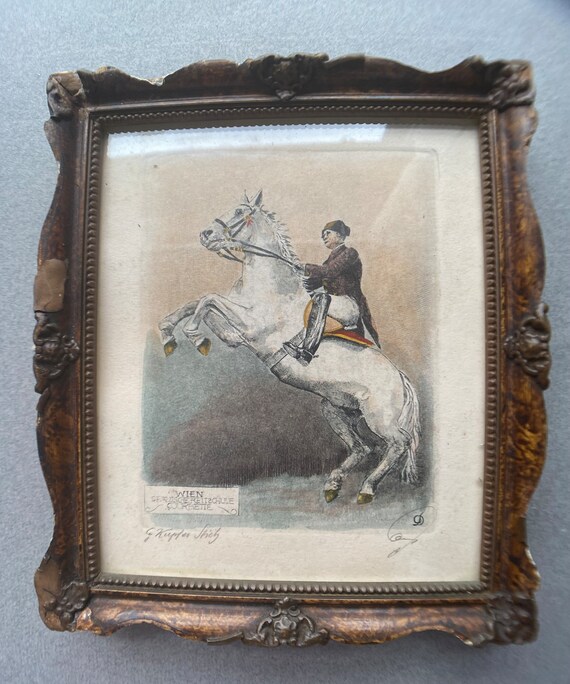 Austrian, Framed Copperplate Engraving: Spanish Riding School, Courbette