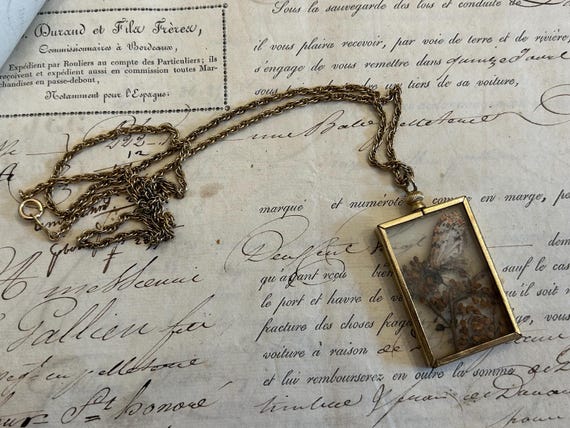 Vintage Glass Pendant with Dried Flowers and Butterfly/Moth on Chain, from France