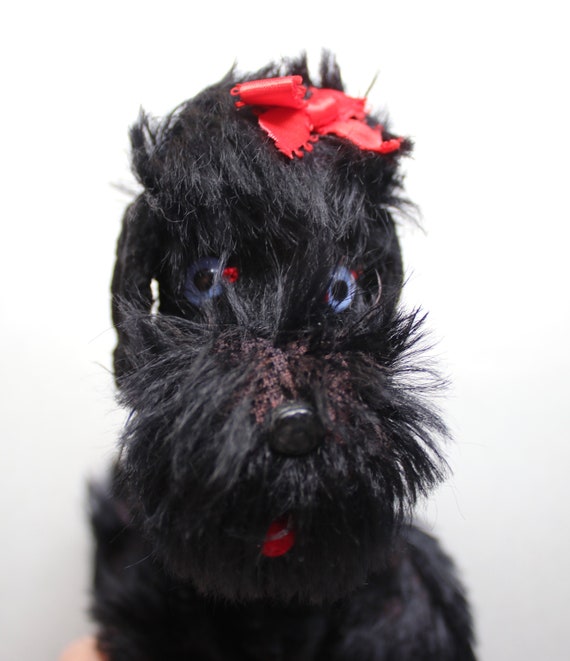 Black Poodle Made in France