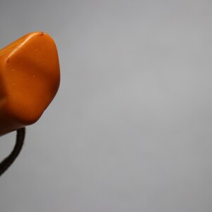 May include: Close-up of the top of a brown wooden walking stick with a knotted rope handle.