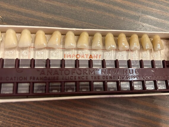 Anatoform Prosthetic Teeth Guide by Dentist's Supply Company, Made in France, Circa 1920s-1930s