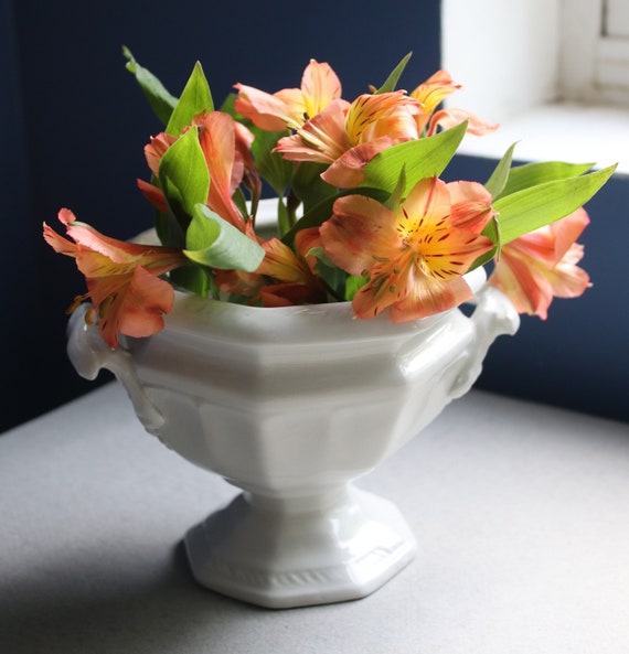 Red Cliff Ironstone Sauce Boat/Vase in Grape Pattern