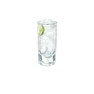Gin und Tonic Digitales Bild Digitaler Download. JPG, PNG für Wedding Bar Sign Design, Event Signage. Gin, Tonic, Limette Mixgetränk Instant Download