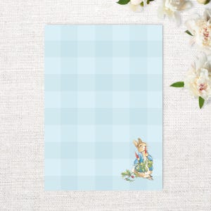May include: A light blue gingham background with a cartoon illustration of Peter Rabbit holding a carrot. Peter Rabbit is wearing a blue jacket and is standing in a garden.