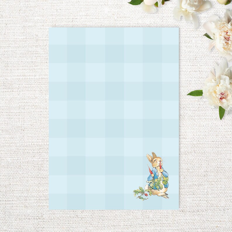 May include: A light blue gingham background with a cartoon illustration of Peter Rabbit holding a carrot. Peter Rabbit is wearing a blue jacket and is standing in a garden.