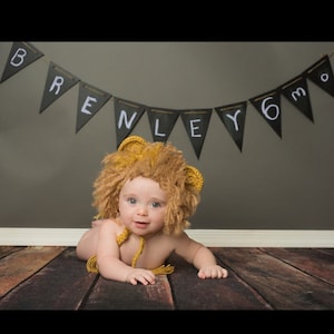 Newborn Lion Hat, Baby Lion Hat, Newborn Lion Costume, Baby Lion Halloween Costume, Crochet Baby Lion Photo Prop, Crochet Lion Photo Prop