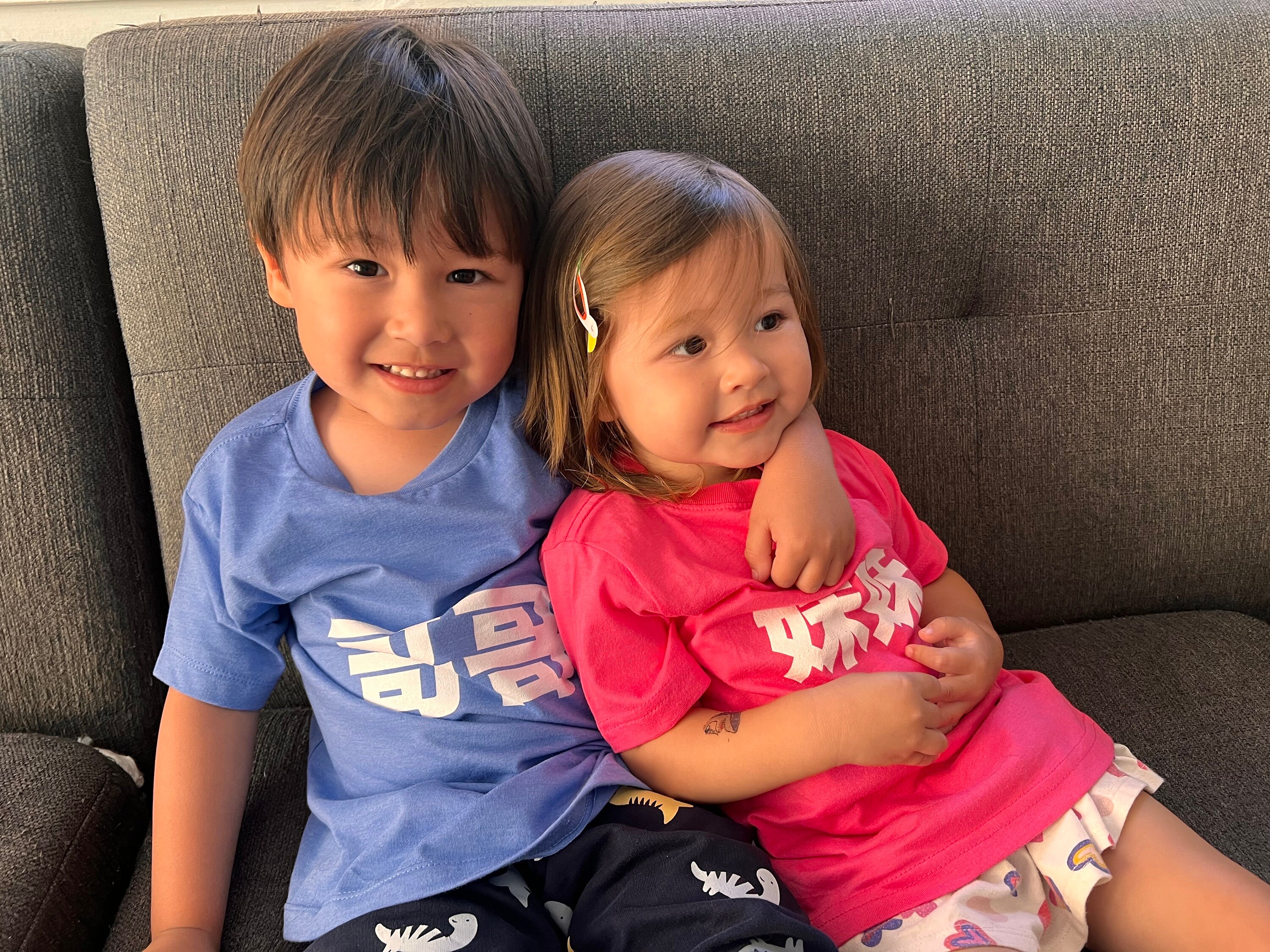 Toddler Little Sister 妹妹 Mei Mei T-Shirt | Chinese Kanji Characters Brothers