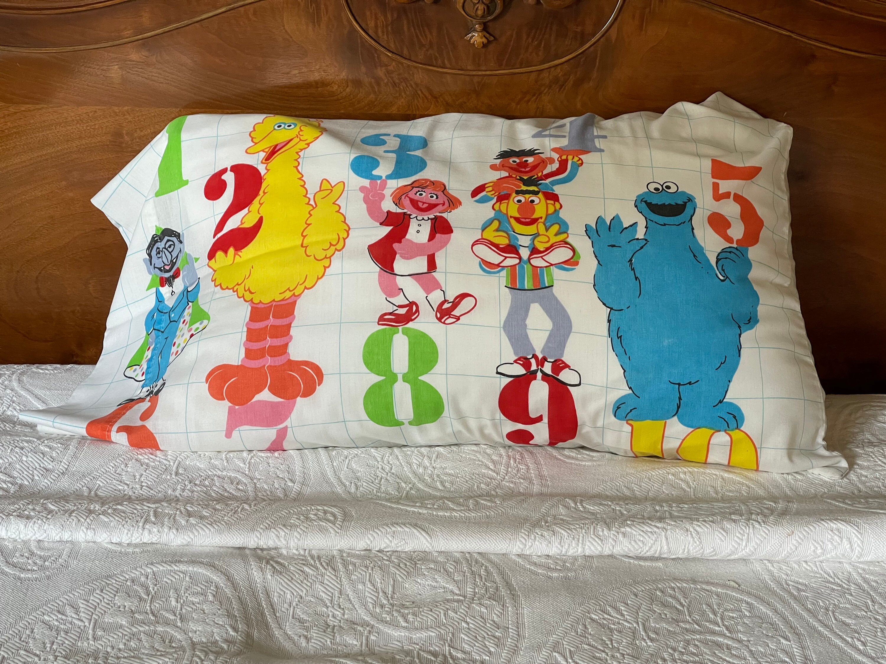 Vintage 80s Sesame Street Numbers 2-Sided Pillow Case Made In USA -JA22