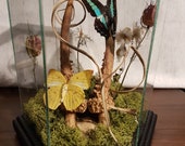 Vitrine en verre avec corne de cerf, papillon