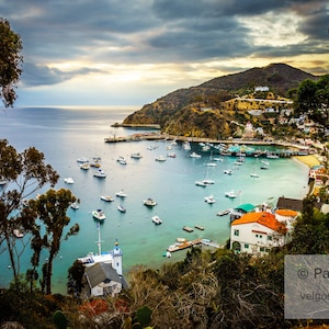 Catalina Harbor Decor: Catalina Island Art, Avalon Bay Print, Santa Catalina Poster, California Canvas Wall Art, Catalina Island Gift