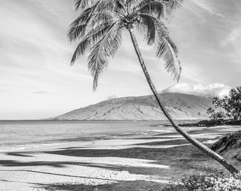 Bent Palm Tree Print: Maui Hawaii Poster, Curved Palm Tree