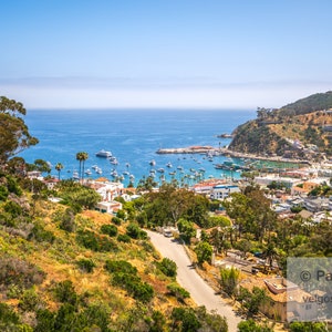 Santa Catalina Poster: Catalina Island Art, Southern California Canvas Wall Art, Catalina Island Gift, Catalina Harbor Art, Avalon Bay Print