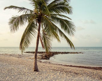 May include: A serene beach scene featuring a palm tree with green fronds and a brown trunk. The tree stands on a sandy beach, with the ocean and a clear sky in the background. The image has a soft, natural color palette.