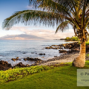 Wailea Makena Poster: Maui Canvas Print, Hawaiian Palm Tree, Maui Hawaii Photo, Hawaiian Canvas Art, Maui Photography, Hawaii Tropical Art
