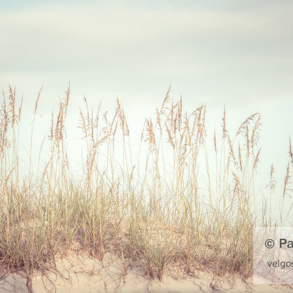 Pensacola Beach Etsy