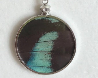 Butterfly Wing Necklace