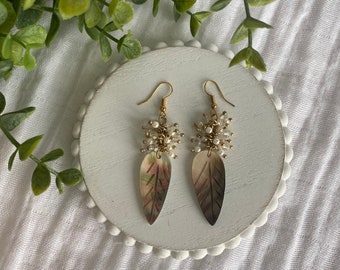 Shell Earrings