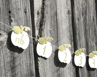 Newborn - 12 month photo prop, Pumpkin first birthday photo prop, first year pumpkin photo holder