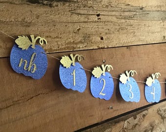 Little Pumpkin 1st Birthday Photo Banner, First Birthday photo prop, first birthday party decorations, boy pumpkin party decor