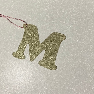 May include: Gold glitter letter M ornament with a red and white twine string.