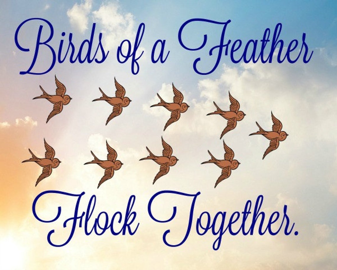 Instant Download Birds of a Feather Flock Together 8x10 Etsy