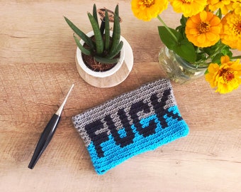 Curse word pouch pattern, explicit, pencil  Case, explicit, profanity, notions case, f*ck, shit , crochet digital pattern, crochet colorwork