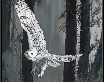 Ghost in Torrit Woods 6" x 9" Snowy White Owl Print