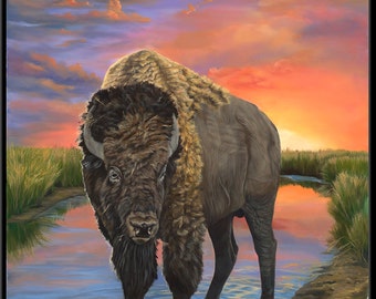 American Bison 6" x 8"  Buffalo print