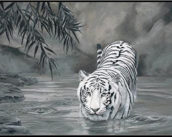 Torrit the Tiger 9" x 6" White Tiger in Water print