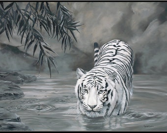 Torrit the Tiger 18" x 12" White Tiger in Water print